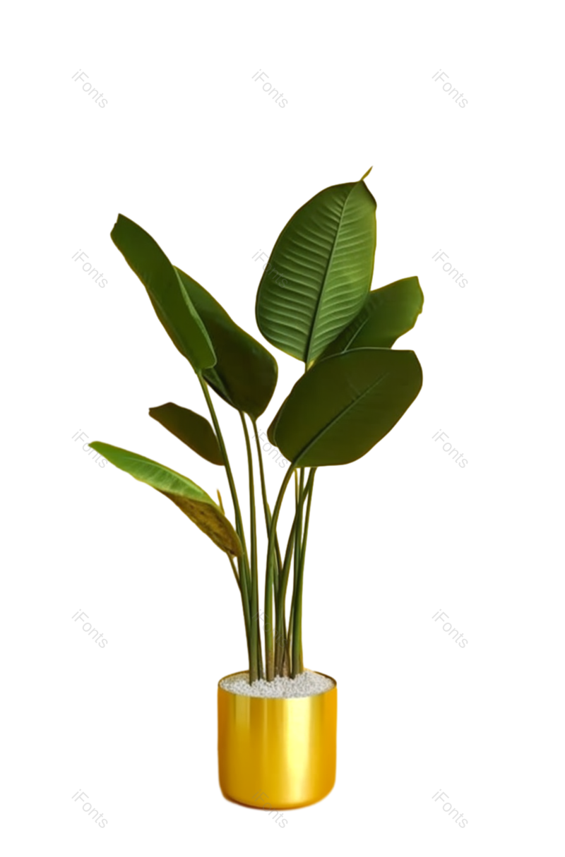 叶子图片,纹理元素,清新PNG,摄影免抠素材